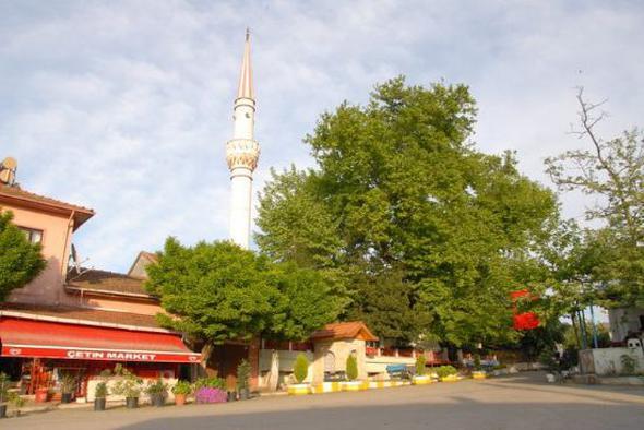 <p>Gack</p>  <p> </p>  <p>2010: 40 - 50</p>  <p> </p>  <p> 2017:120 - 150</p>  <p> </p>  <p>Laledere</p>  <p> </p>  <p>2010: 35 - 50</p>  <p> </p>  <p> 2017:120 - 150</p>  <p> </p>  <p>Kabakl</p>  <p> </p>  <p>2010:15 - 25</p>  <p> </p>  <p> 2017:100 - 125</p>  <p> </p>