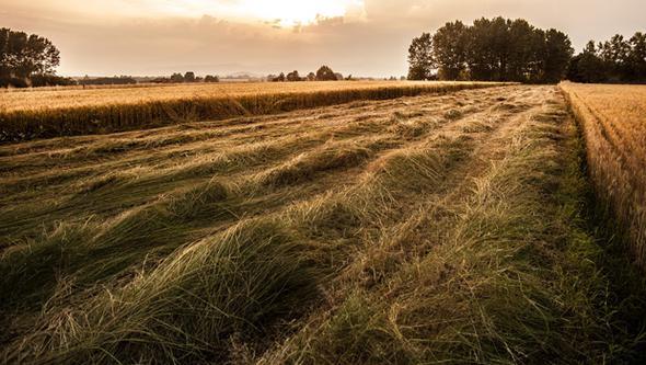 <p>Susurluk-merky</p>  <p> </p>  <p>2010: 3 - 6</p>  <p> </p>  <p> 2017:15 - 20</p>  <p> </p>  <p>vrindi</p>  <p> </p>  <p>2010: 2- 4</p>  <p> </p>  <p> 2017:5 - 10</p>  <p> </p>  <p>Susurluk-Yenimahalle</p>  <p> </p>  <p>2010: 3 - 6</p>  <p> </p>  <p> 2017:15 - 20</p>  <p> </p>