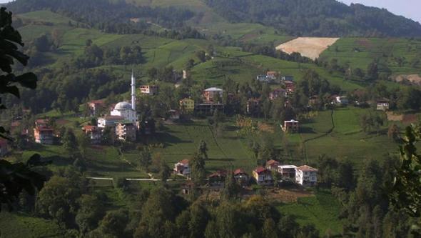 <p>Tavanl</p>  <p> </p>  <p>2010: 35 - 45</p>  <p> </p>  <p> 2017:80 - 100</p>  <p> </p>  <p>Kadky</p>  <p> </p>  <p>2010: 30 - 45</p>  <p> </p>  <p> 2017:75 - 140</p>  <p> </p>  <p>Suba</p>  <p> </p>  <p>2010: 35 - 45</p>  <p> </p>  <p> 2017:95 - 135</p>  <p> </p>