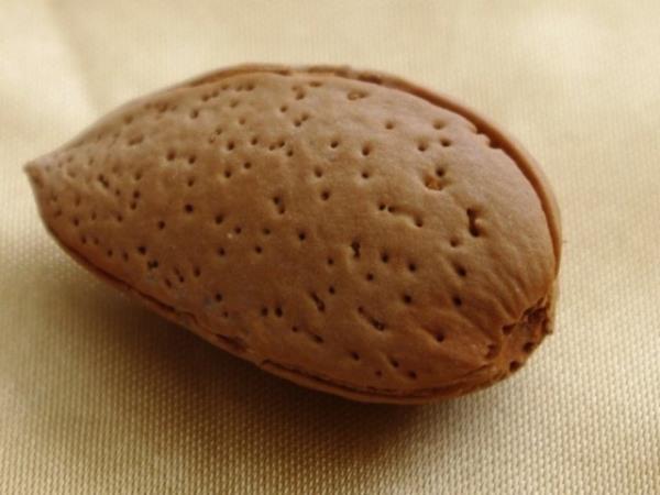 <b>BADEM:</b> Bir avu kalp dostu bu yemilerden yediiniz takdirde tatl bir ekerleme yapabilirsiniz. Badem hem triptofan ierii hem de uygun lde ierdii kalsiyum sayesinde kaslarnzn rahatlamasn salar.