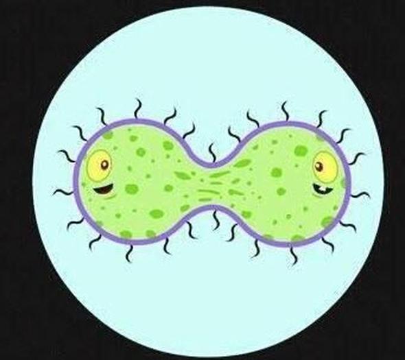 Blme ve arpmann e deer olduu tek bilim dal biyolojidir.