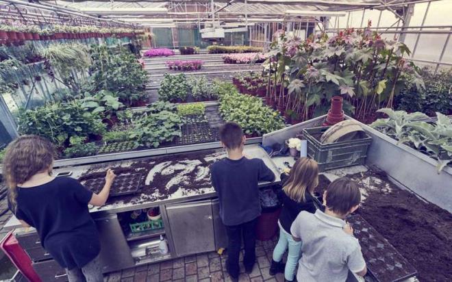 Le Rosey&#8217;in &#8221;kat&#8221; kurallar    <br>renciler elleri ceplerinde konuamyor ya da kendileriyle konuan yetikin ayaktaysa onlar da ayaa kalkmak zorunda. Dersler 08:00&#8217;da balyor ve geleneksel leden nce scak ikolata molasnn ardndan 12:20&#8217;de le aras veriliyor. 13:30&#8217;da tekrar balanan dersler 15:30&#8217;da sona eriyor. Bir snfta ortalama 10 renci var ve dersler standart dersliklerde yaplmyor. Okul topluluunun &#8216;herkesin birbirini tand bir ortam oluturmak amacyla&#8217; kk tutulduu belirtilmi.