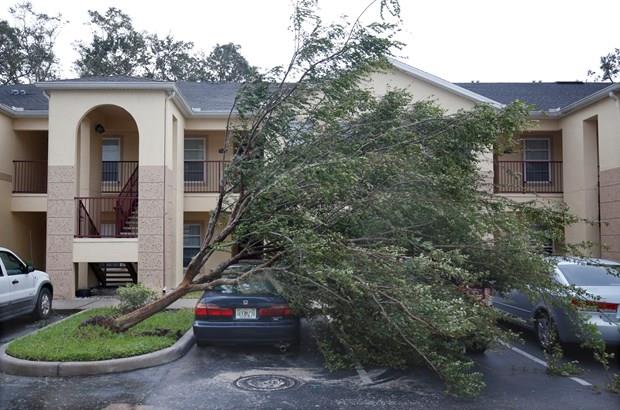 Aklamada, kasrgalarn oluturduu yksek maliyet ve i gc kayb nedeniyle ABD'nin bu yln nc eyreine dair byme ngrs yzde 2,8'den yzde 2 oranna indirilmiti.