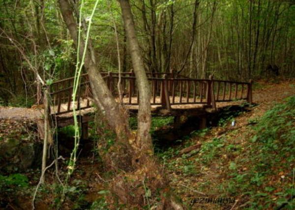 <p><b>stanbul - Polonezky</b></p> stanbul'dan uzaklamak istemeyenler iin sonbaharn gzelliini Polonezky'de doann kalbinde yaamak mmkn.