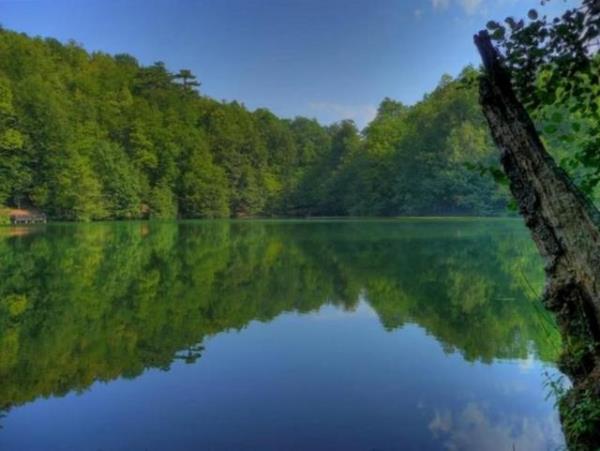 <p><b>Yedigller</b></p> Yedigller'in yemyeil doas, huzur ve dinginlik arayanlar iin ideal.