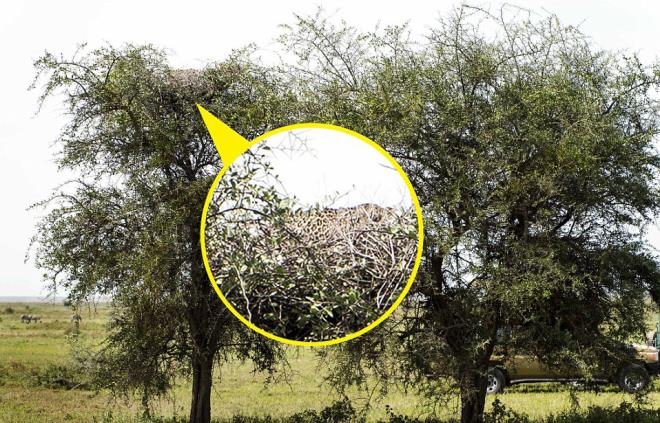 Makinenin vizrnden bakan isim ise Rus fotoraf Julia Sundukova.