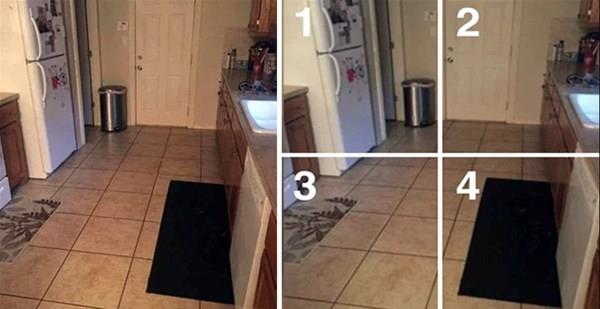 Bu fotorafta ise gzle kolayca grlmeyen bir ayrnt var. Herkes fotoraftaki gizli kpei aryor.