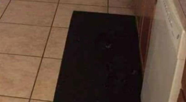 Burnunuzun ucunda duran fotorafta gizli kpei bulabilecek misiniz?