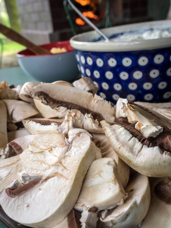 Mantar ierdii selenyum, bakr ve inko gibi mineraller sayesinde sa ve cilt salnz korur. Mevsimsel geilerde artan sa dklmelerini azaltr. Ayrca meme ve prostat kanserlerine kar bakl glendirir.