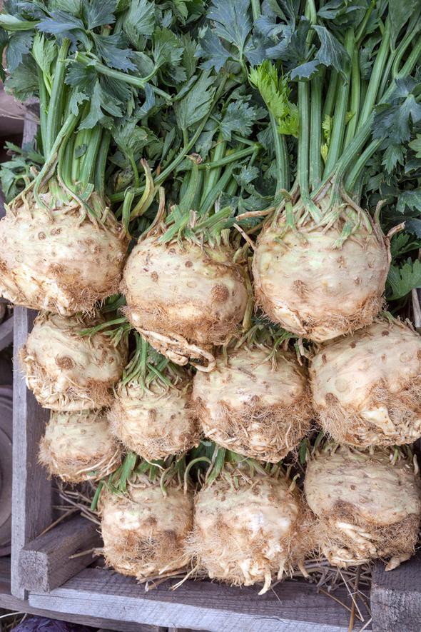 Kereviz, ierisinde doal olarak bulundurduu gl antioksidanlar sayesinde pek ok organ korumaktadr. Romatizma arlarn azaltr. Akcier enfeksiyonlarna, astma ve cilt salna iyi geldii bilinmektedir.