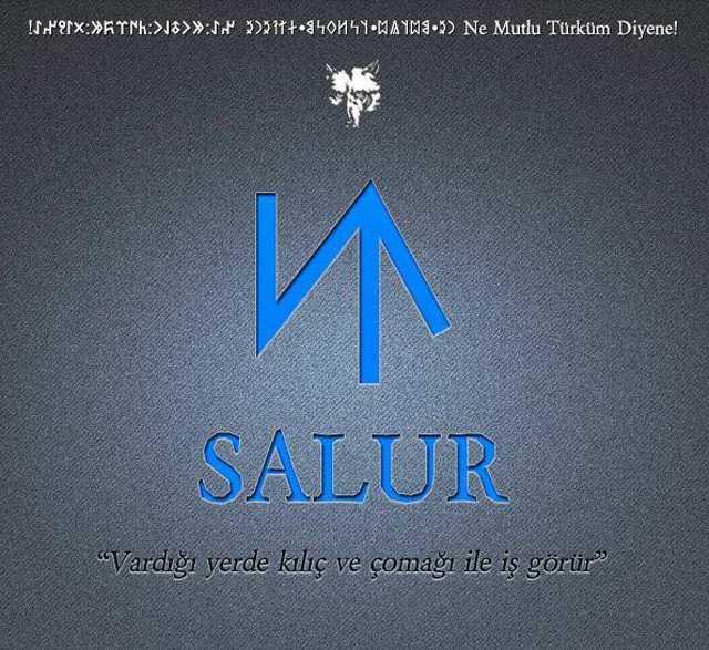 17- SALUR<p>    Salur - Antalya-Elmal Salur - Antalya-Kumluca Salur - Antalya-Manavgat Salur - Bolu-Gerede Salur - ankr-Orta Salur - orum-Seydim Salur - ErzincanRefahiye-Akarsu Salur - Isparta-arkikaraaa Salur - Kayseri-Gneli Salur - Karaman Salur - Yozgat-Sorgun Salur - Manisa-Grdes Saluriftlii - " " Salur - Samsun-Ladik Salur - Tokat-Artova Salur - Tokat-Zile-Boztepe