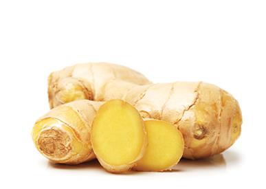 Zencefil hem taze hem de kuru olarak tketilmektedir. Kuru olannn salk asndan salad faydalarn yan sra taze zencefilin de bir ok faydas bulunmaktadr.  zellikle taze zencefilin ierisinde bol miktarda C vitamini bulunur. Bakl sistemini dzeltmesi ve zellikle ierdii youn C vitamini sayesinde kn oluabilen enfeksiyonel hastalklarn tedavisinde kullanlmaktadr.