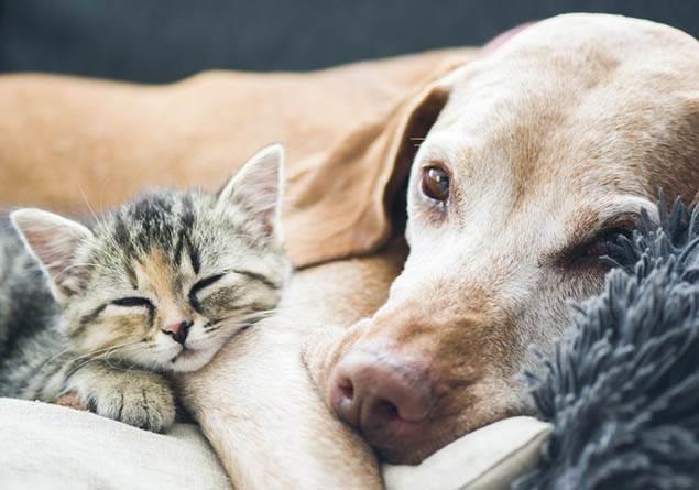 Dev hizmet! Sahtekarlar ayklyoruz&#8230; Ah keke bu kadar kolay olsa.    Yllar sren dostluklar, i ie gemi arkadalklar, srekli birlikte geirilen zamanlar, birbirinin derdine ortak olmalar&#8230;. Dostluk ne gzel ey.    Hayatnzda &#8216;bu benim dostum&#8217; dediiniz ka kii var? Daha da nemlisi nereden anlyorsunuz onun gerekten dostunuz olduunu?
