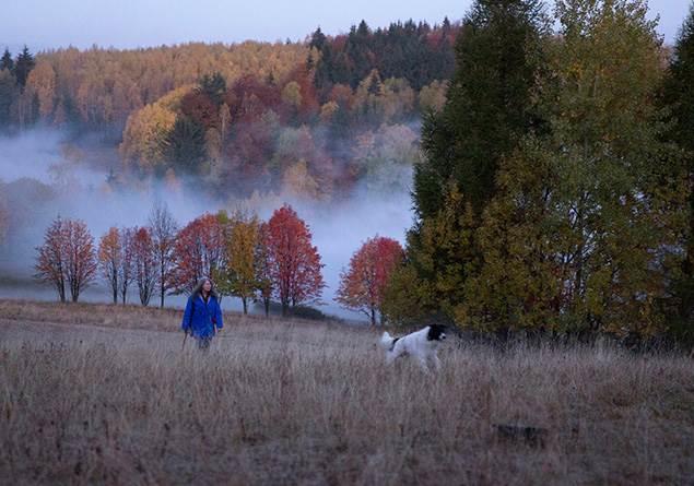Bu hafta vizyona giren filmlerden hangisini izleyeceinize karar veremediyseniz kapsaml rehberimiz size yardmc olabilir :)