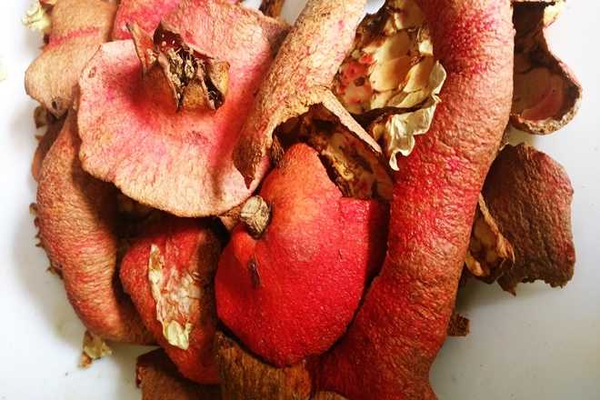 - Nar kabuklar ile tirtlerinize istediiniz desenleri yapabilirsiniz.