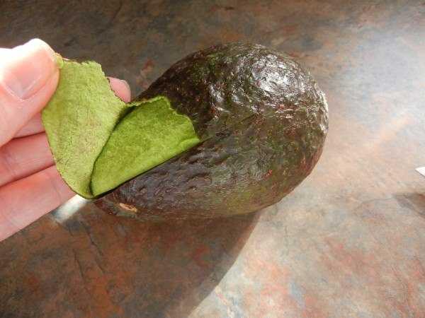 - Avakado kabuu ile cildinizi nemlendirebilirsiniz.