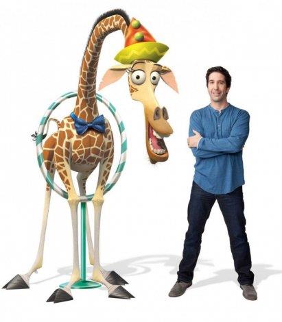 David Schwimmer &#8211; Madagascar