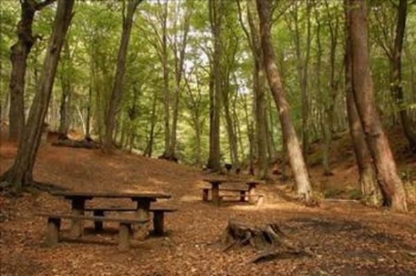 Belgrad ky 1521 Srbistan seferinden sonra stanbul'a getirilen Srp tutsaklarn yerletirilmesi amacyla kurulmutu.