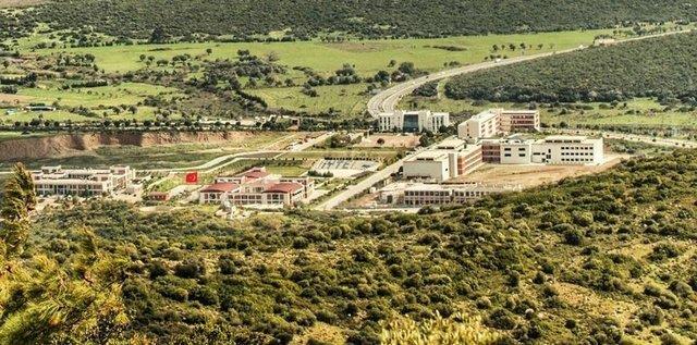 zyein niversitesi niversitesi