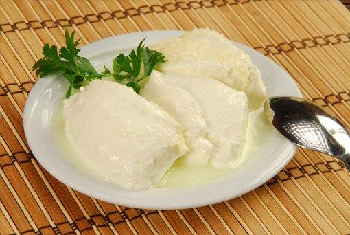 Yourt ve kefir floray glendirerek gastrointestinal sistem enfeksiyonlarna kar diren oluturur, immn fonksiyonlara (bakla) destek verip, anti-tmr zellik gsterir.