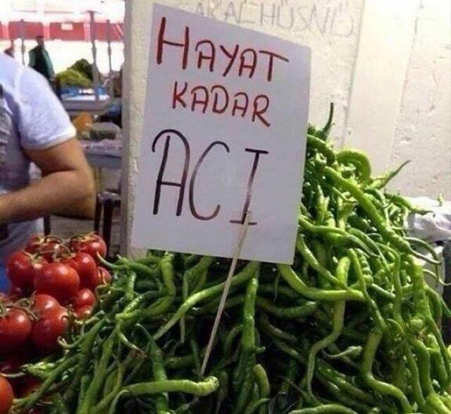 Yurdum insanndan gldren kareler