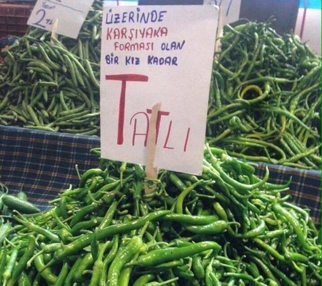 Yurdum insanndan gldren kareler