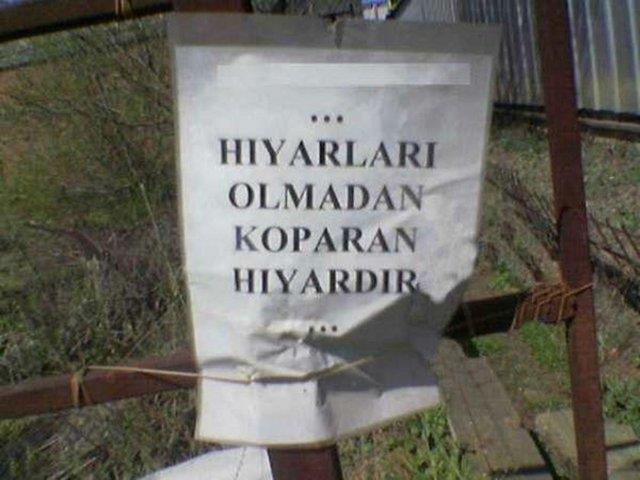 Yurdum insanndan gldren kareler