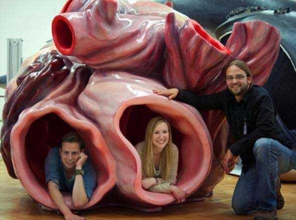 A��rl��� 600 kilogram� bulabilen bir mavi balinan�n kalp damarlar�n�n i�ine bir insan girebilir.