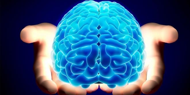 Basit bir matematik problemi gibi grnen ve internette gittike poplerleen bu zeka testi IQ lmek iin bavurulan en popler yntemlerden biri. 2005 ylnda Journal of Economic Perspectives'te yaynlanan 'Cognitive Reflection Test' isimli zeka testi en ksa yoldan IQ seviyesini lmek iin en sk bavurulan testlerden bir tanesi.