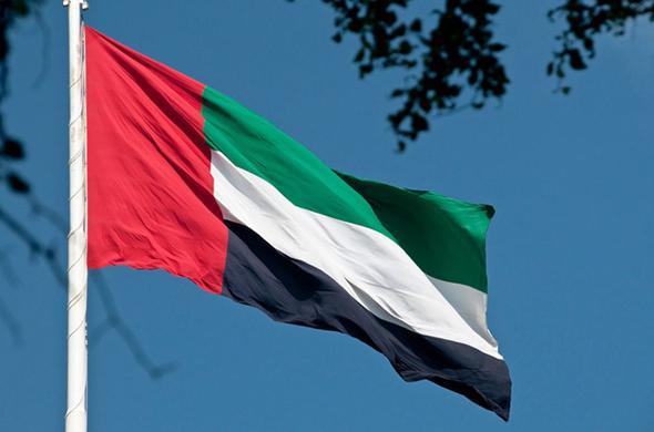 SRAL    18 MLYAR DOLAR --    BRLEK ARAP EMRLKLER    22.8 MLYAR DOLAR