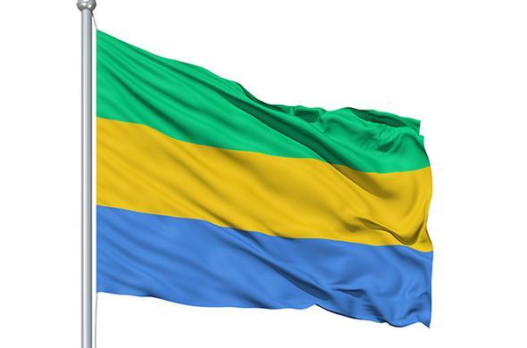 GABON    TOPLAM HARCAMA: 203 MLYON DOLAR    ARTI: Yzde 16  --  RAN    TOPLAM HARCAMA: 12.7 MLYAR DOLAR    ARTI: Yzde 17