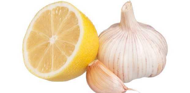 6- Beyin hcreleri ve tm sinir sistemlerinin yenilenmesini salyor. Sinirdeki aksiyon potansiyelini dzenleyip ileri-refleks hzn arttryor. Fellere ve Vertigo'da fayda veriyor.