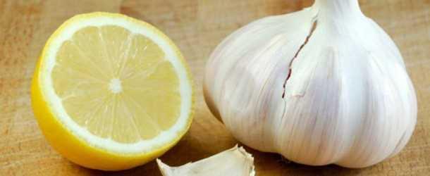 2- Kollestrol ve lipidi dryor zararl yalarn yaklmasn salyor, kilo verdiriyor (bazal metabolizmay hzlandrp yalarn yaklmasn salad iin itah ayor, bu dnemde diyete dikkat etmek gerekiyor) ekeri dryor,pankreas'n yenilenmesini salyor.