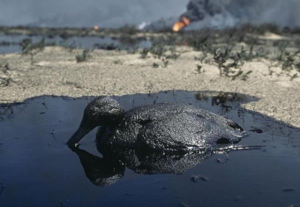 Mttefikler ise arpmalar srasnda 190; dost atei, kaza vs. sonucunda da 358 kayp verdi.