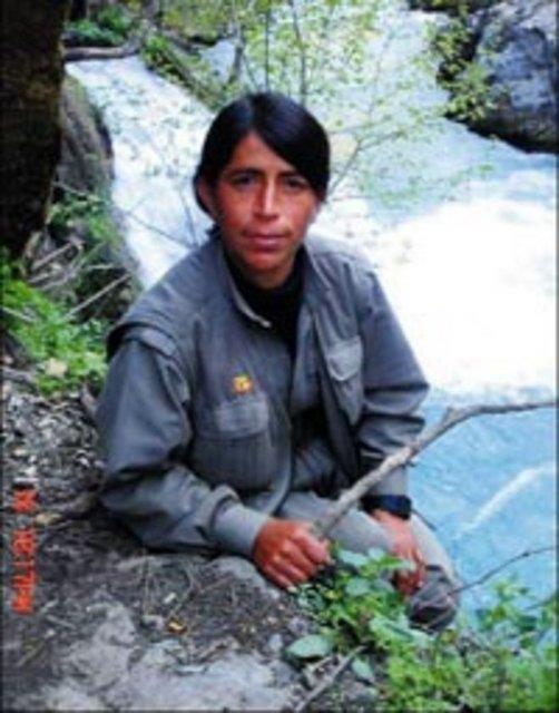 Canmn istedii bir eyi kafama gre yapmam yasakt.