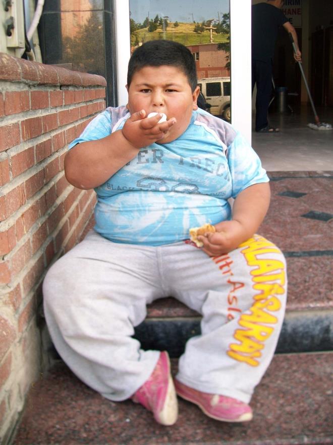 Avrupa Endokrinoloji Dernei Bakan Prof. Dr. AJ Van Der Lely de gda tketiminde beyin barsak ilikisine deindi.