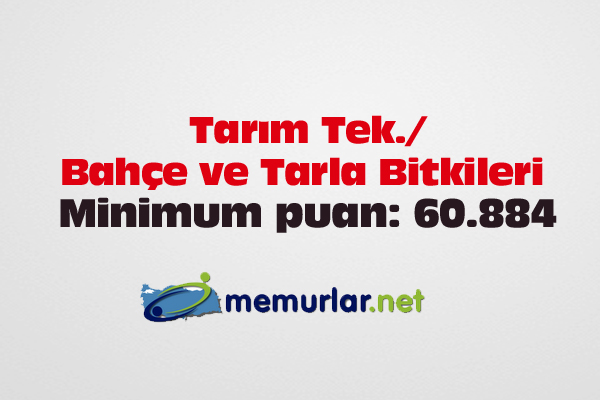 Milli Eitim Bakanl (MEB), 87 brana 36 bin 837 retmen atamas yapt.