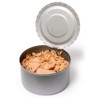 Yal ton bal     Ton bal magnezyum, inko ve C vitamini asndan zengin bir balktr ve genellikle konserve kutularda evimize gelir.     Ancak konserve ton balnn light olann, yani ya ile paketlenmeyenini tercih edin.