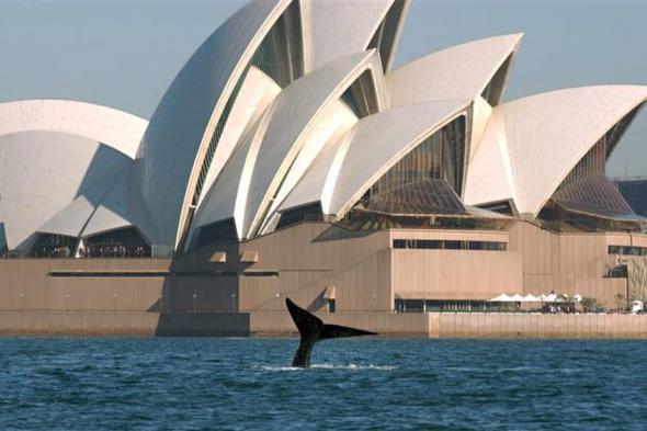 28 - AVUSTRALYA<p>    2016: 1 TRLYON 189 MLYAR DOLAR  <p>  2050: 2 TRLYON 564 MLYAR DOLAR