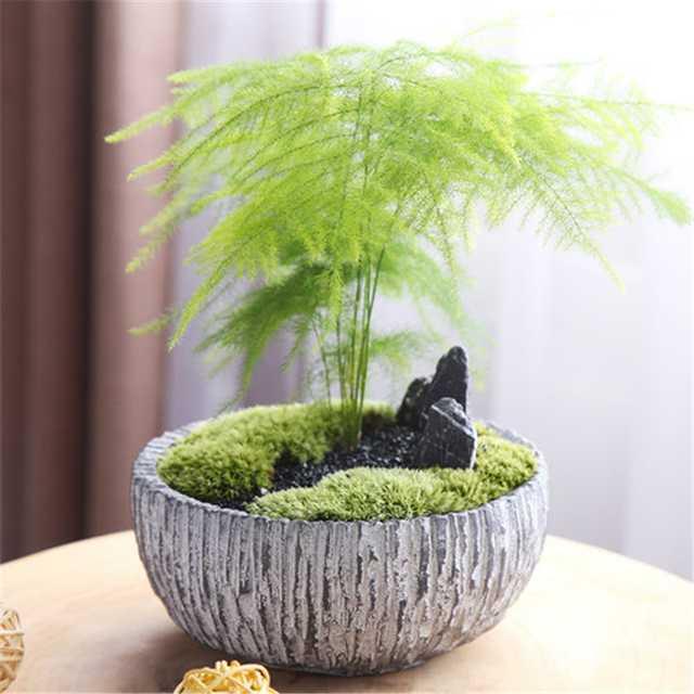 Kukonmaz bir dnem sadece ev dekorasyonu iin kullanlmtr.