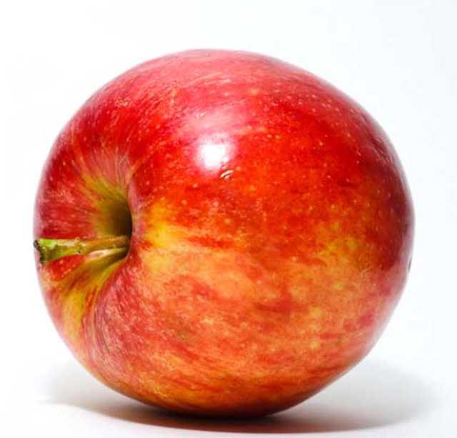 Elma    <p>nsan doasna faydaldr, mideyi glendirir.