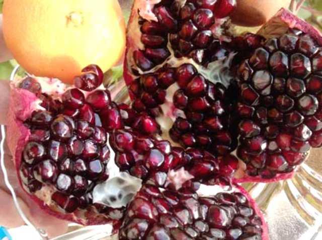 Eki nar  <p>  Beyni altrc ve insan doasna faydaldr.