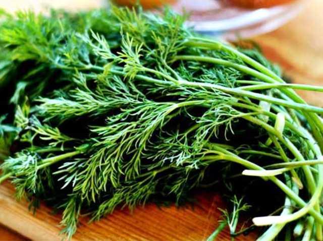 Dereotu  <p>  Mide asndan zararldr.