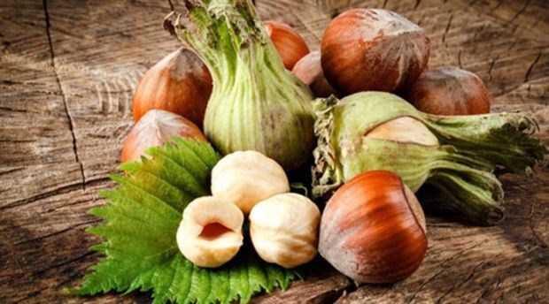 Kabzl nlyor: Fndktaki yksek lif ierii, barsak sal iin olduka yararl bir rol stleniyor. Yksek lif tketimi barsak hareketlerini aktif hale getirip, sindirim sisteminin iini kolaylatrdndan, gnlk yeterli miktarlarda i fndk tketimi kabzln tedavisinde kullanlabiliyor.