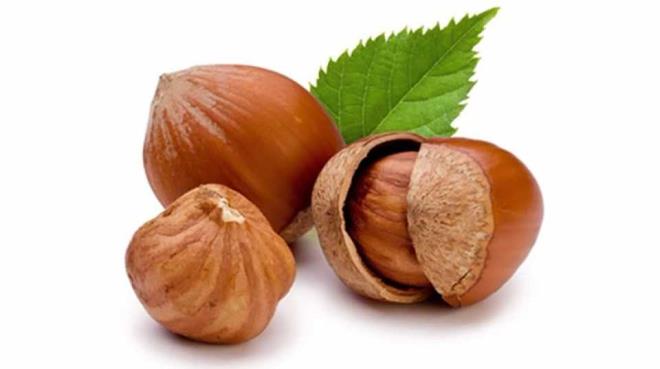 Beyin saln koruyor: Fndkta, protonosiyanidinler, kersetin ve kaemferol gibi fitopkimyasal maddeler bulunuyor. Bu proantosiyaninler &#8216;flavonoidler&#8217; olarak adlandrlan bir gruba ait. Flavonoidler beyin saln destekleyebiliyor. Ayrca triptofan ve izolosin aminoasitlerinden zengin olduundan zihinsel ve psikolojik olarak kiinin kendisini daha iyi hissetmesini salyor.