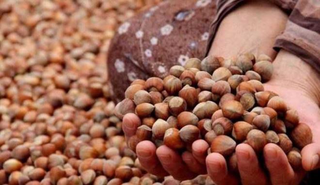 Kaslar glendiriyor: Magnezyum, vcuda giren ve kan kalsiyum miktarnn dzenlenmesinde ok nemli bir rol oynamaktadr. Doru miktarda kalsiyum kas kaslmalarn oluturur ve kaslarn ihtiya duyulmadnda dinlenmelerine izin verir. Magnezyum, bu sayede kas gerginliini azaltr ve kas yorgunluunu, spazm, kramp ve arlar nlemek iin mcadele eder. Yksek magnezyum seviyeleri ayn zamanda kas gcn artrmaya yardmc olur.