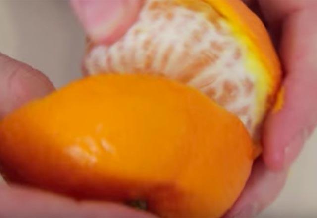 2. Adm:  <br>  Kabua zarar vermeyecek ekilde meyveden ayrlmasn salayn.