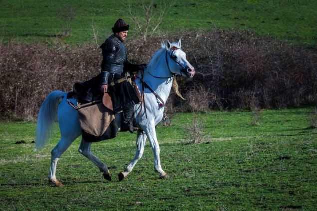 ?Dndar Bey, uzun bir sredir Kayllar'n ayr kaldn ve yeniden birleme zaman geldiini syleyerek aabeylerinin yanna g etmeye karar kld.