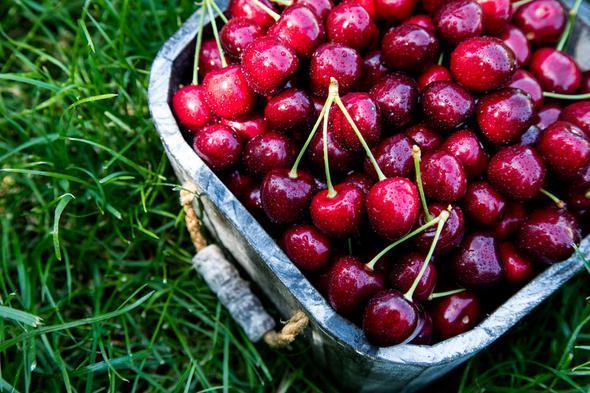 Vine    Vine, yksek oranda melatonin ierir. Bu da uykuyu dzenlemeye yardmc olduu anlamna geliyor. Bu nedenle aratrmaclar, doal bir uyku ilac olduunu syledikleri vineyi gn ortasnda tketmek yerine; geceleri tketmenizi neriyor.