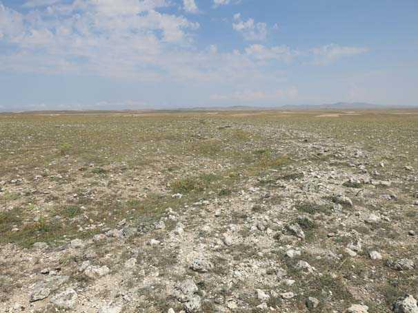 Yllar nce lkemizin kurtuluunu salayan savan gerekletii siperleri bulmu olmak beni gerekten ok mutlu etti. Bu siperleri tespit ettiimiz blge Odunpazar ile snrlar iinde, yani ehir merkezinde bulunuyor&#8221; dedi.